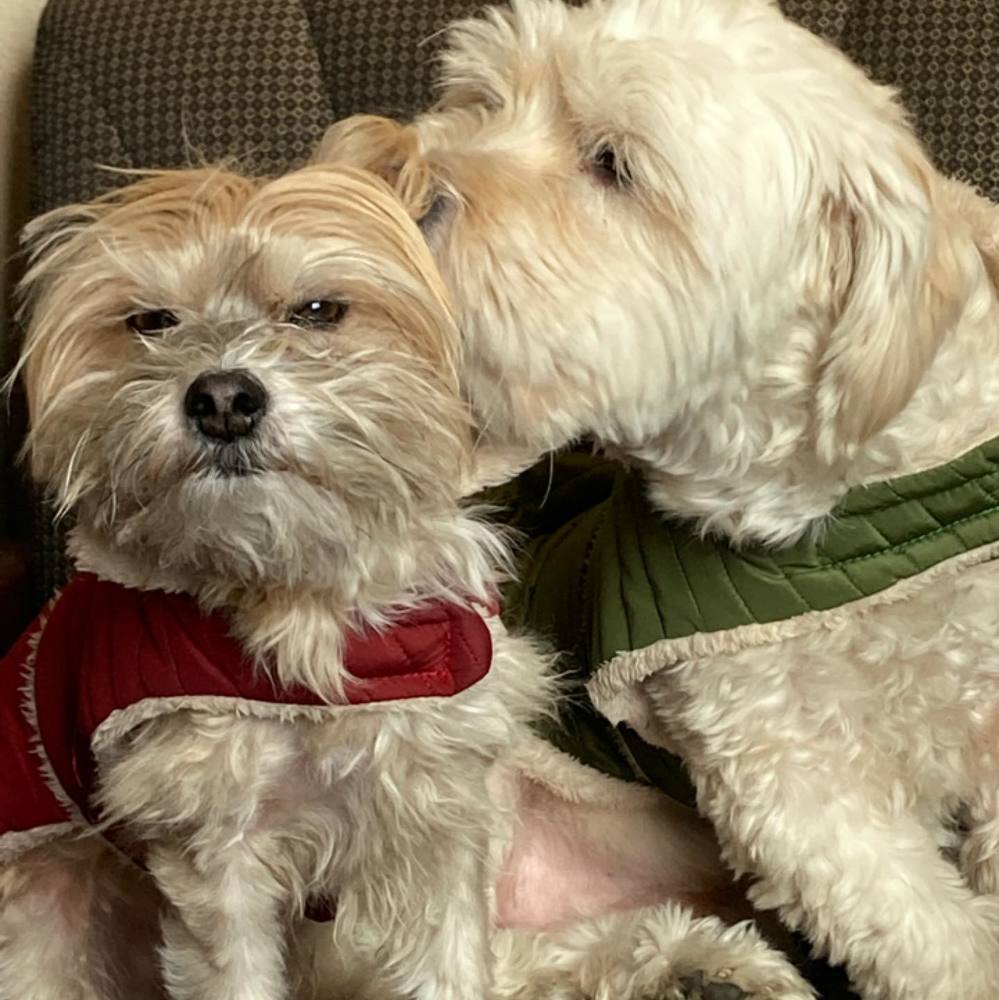 Meet your Posher, Bia